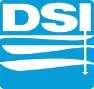 DSI Logo